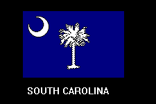 South Carolina flag